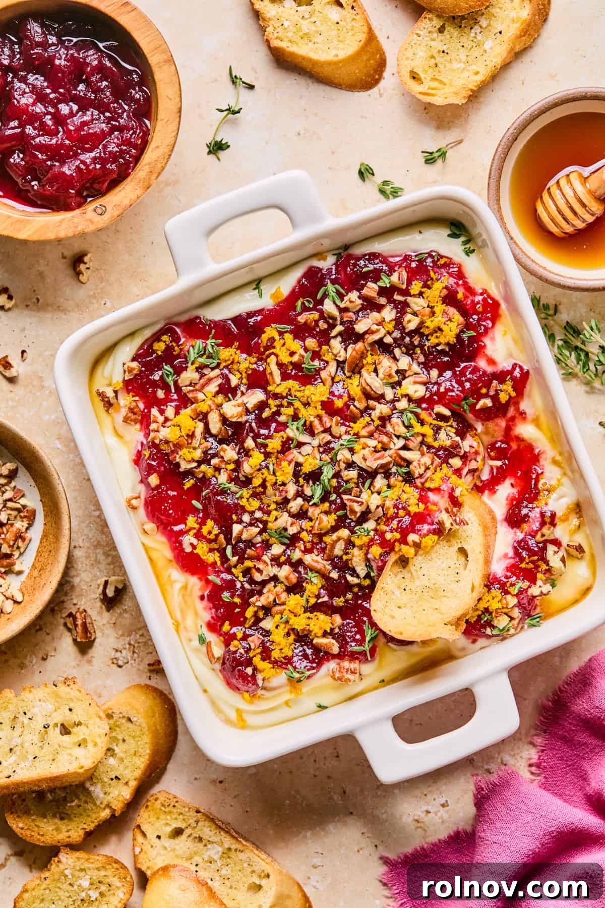 A beautifully garnished honey whipped ricotta dip with cranberry sauce, pecans, and fresh herbs, served with toasted bread slices.