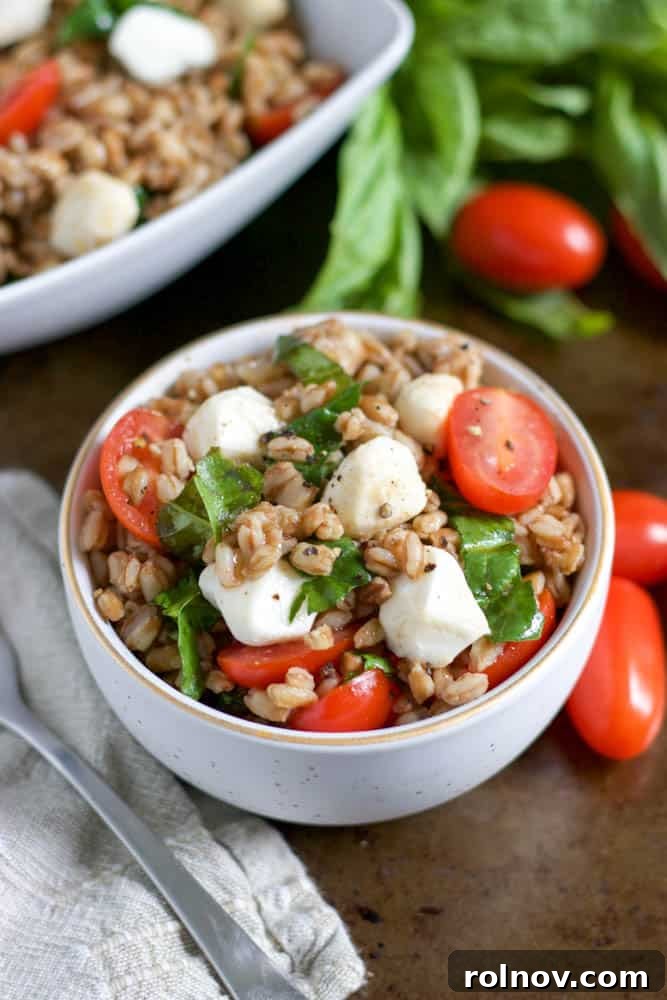 Mediterranean Caprese Farro Salad 3 A close-up of Caprese Farro Salad in a bowl, showcasing fresh tomatoes, mozzarella pearls, and basil leaves.