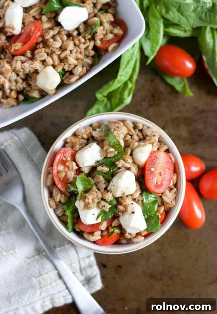 Mediterranean Caprese Farro Salad 4 An overhead shot of a Caprese Farro Salad, with a serving spoon beside it, ready to be dished out.