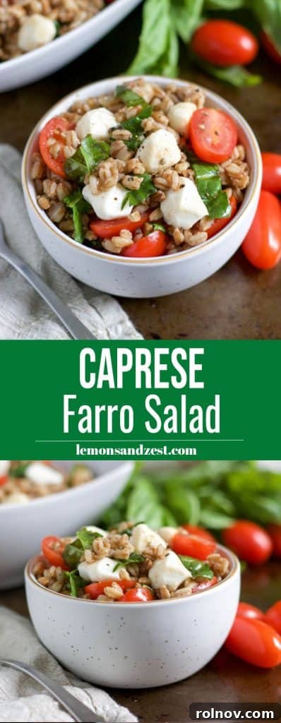 Mediterranean Caprese Farro Salad 7 A stunning visual of Caprese Farro Salad for Pinterest, highlighting its fresh ingredients and appeal.