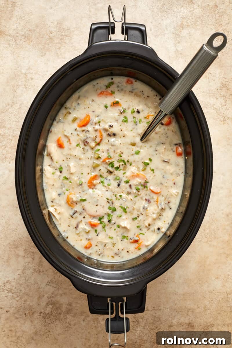 Creamy chicken and wild rice crock pot soup with ladle.