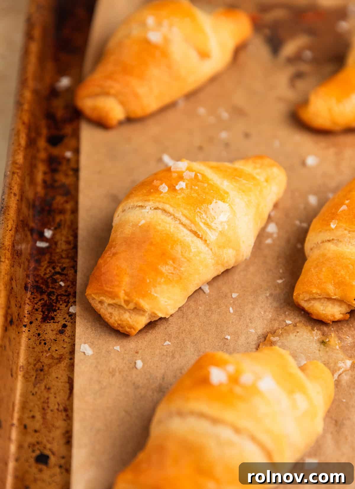 Golden Flaky Brie Bites 8 Baked crescent rolls on a pan, brushed with honey butter.