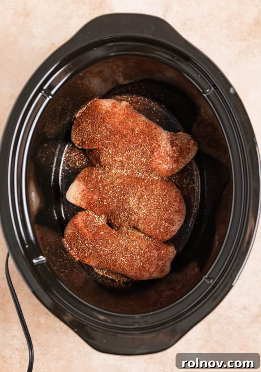 Seasoned chicken breasts resting at the bottom of a slow cooker, ready for the other ingredients.