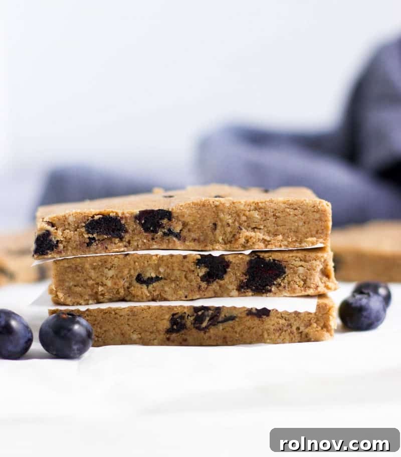 Wholesome Blueberry Muffin Power Bars 2 Delicious No Bake Blueberry Muffin Protein Bars, ideal for a quick snack or breakfast.