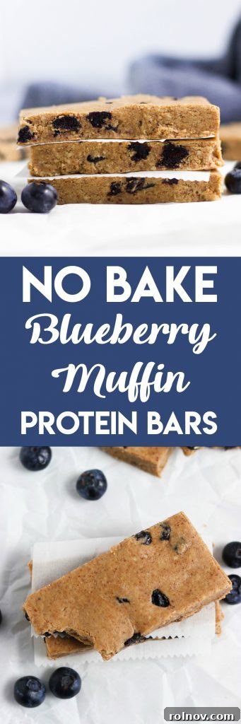 Wholesome Blueberry Muffin Power Bars 5 Various No Bake Blueberry Muffin Protein Bars arranged on a plate.