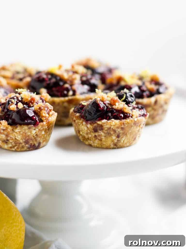 Freshly made No Bake Blueberry Lemon Mini Tarts with a sprinkle of lemon zest on top, showcasing their vibrant colors and refreshing appeal.