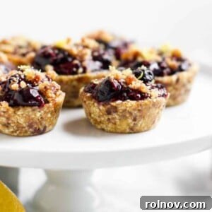 Beautifully arranged No Bake Blueberry Lemon Mini Tarts, showcasing their perfect shape and appealing textures.