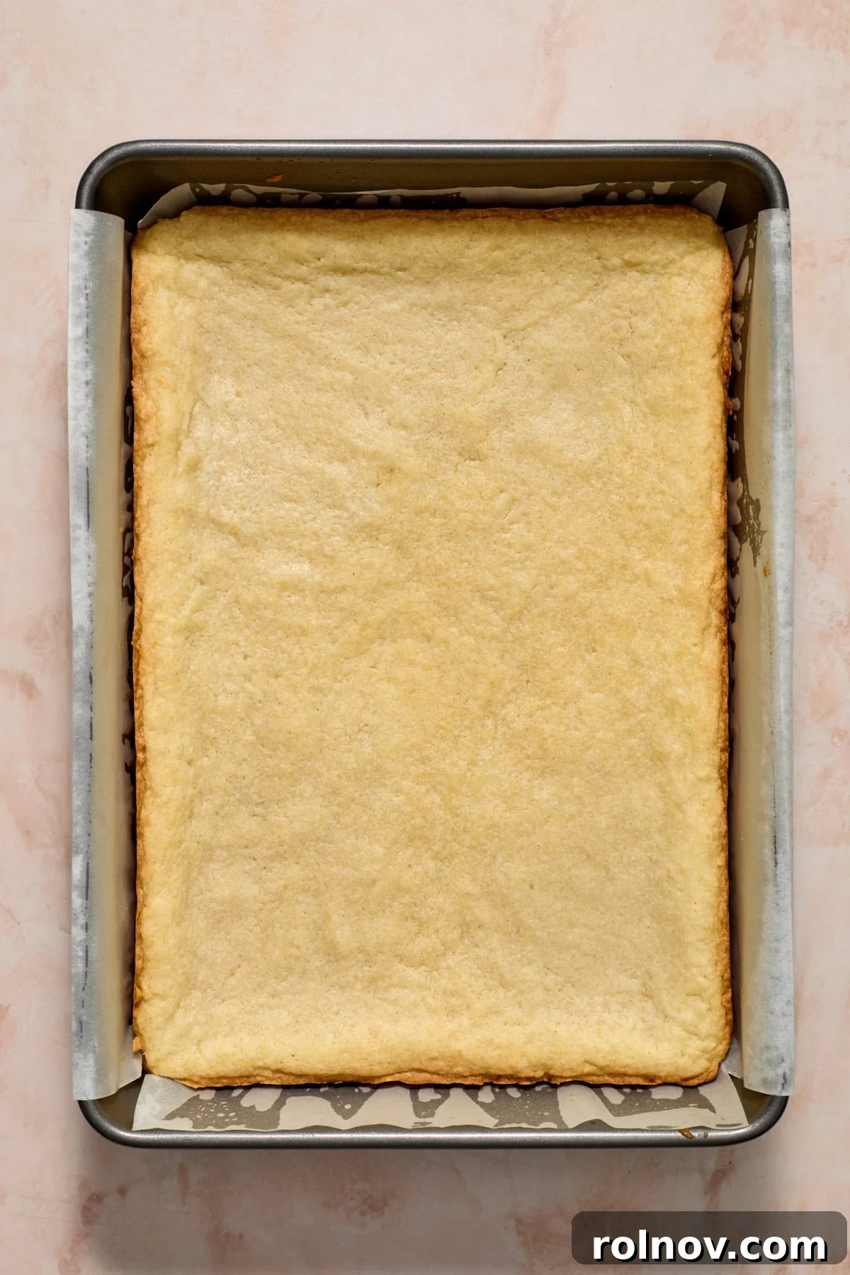 Freshly baked sugar cookie bars, with golden-brown edges and a soft, set center, resting in the baking pan.