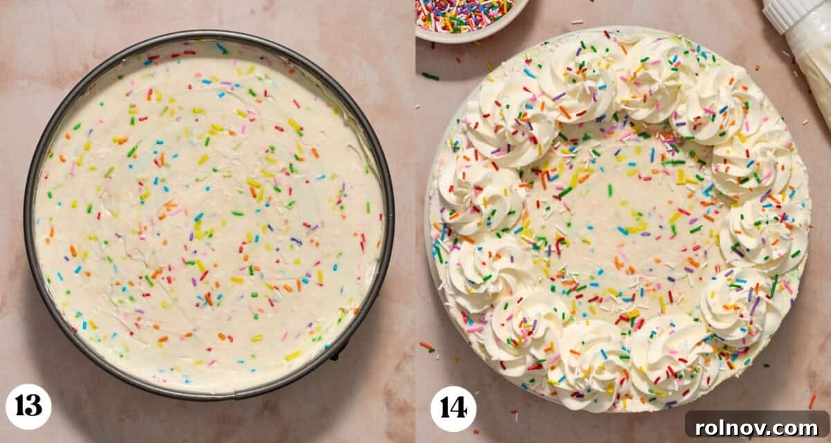 Set no-bake funfetti cheesecake in a pan, then decorated with piped whipped cream and more sprinkles for serving.