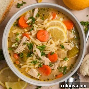 Bowl with orzo soup with chicken, carrots, celery and topped with lemon and parsley.