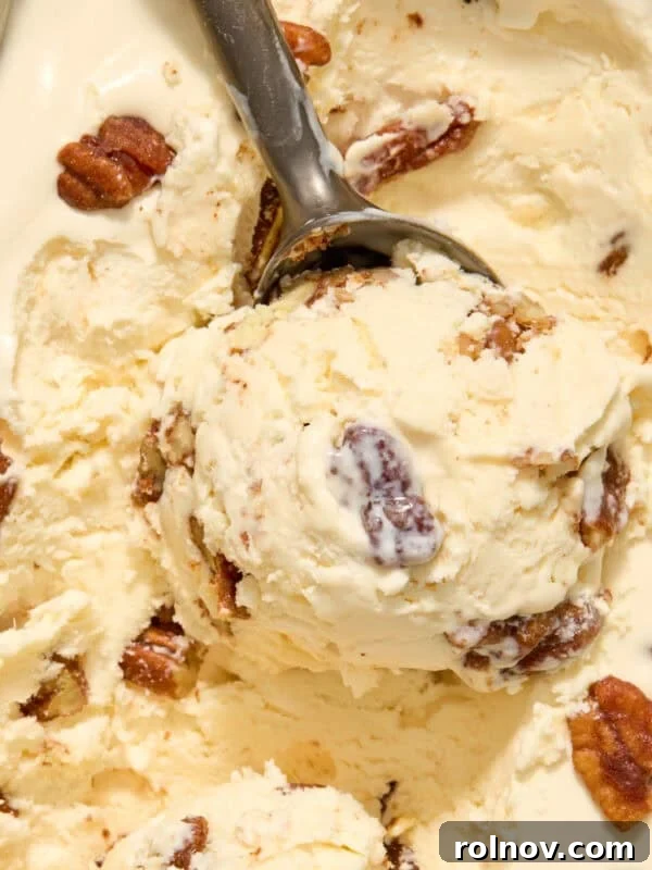 Lemonade Ice Cream Sandwich Recipe — Refreshing Citrus Treat 11 Scoop of butter pecan ice cream in ice cream scoop.