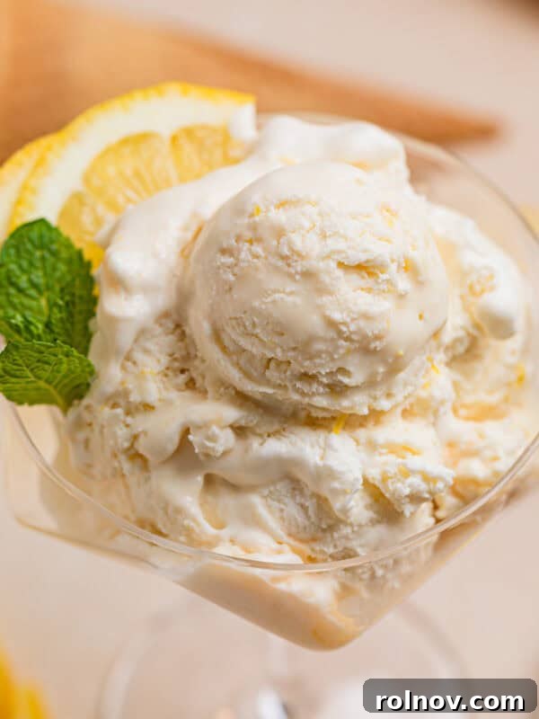 Lemonade Ice Cream Sandwich Recipe — Refreshing Citrus Treat 9 Scooped lemon ice cream in stemware with two lemon quarters and fresh mint leaves.