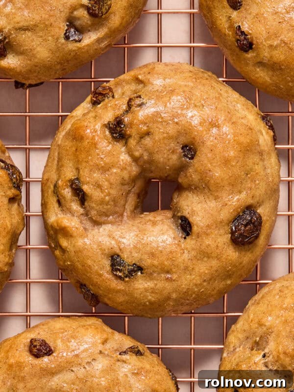Cinnamon raisin greek yogurt bagels on cooling rack.