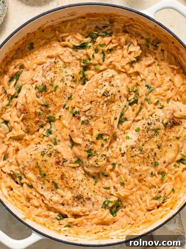Pan with orzo and chicken cooked in tomato sauce.