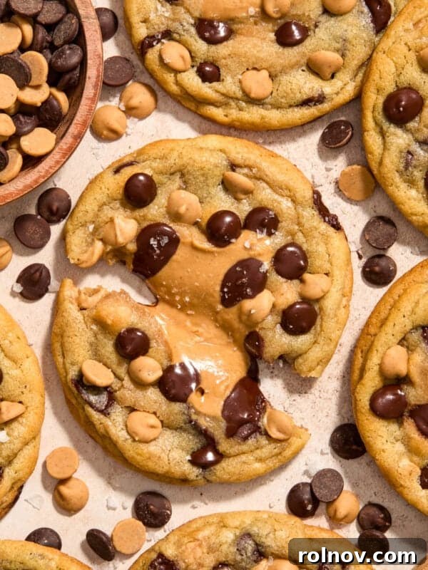 Peanut butter chocolate chip cookies with peanut butter centers on surface.